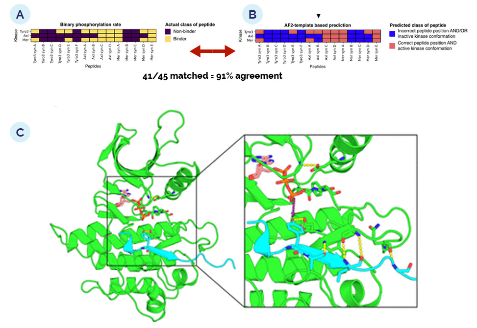 Novel Substrate Prediction