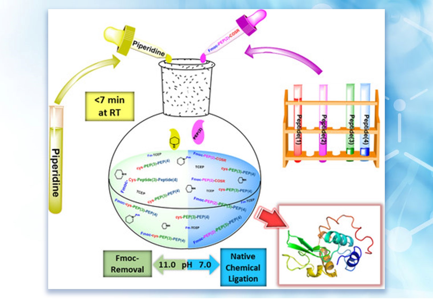 Chemical Protein Synthesis