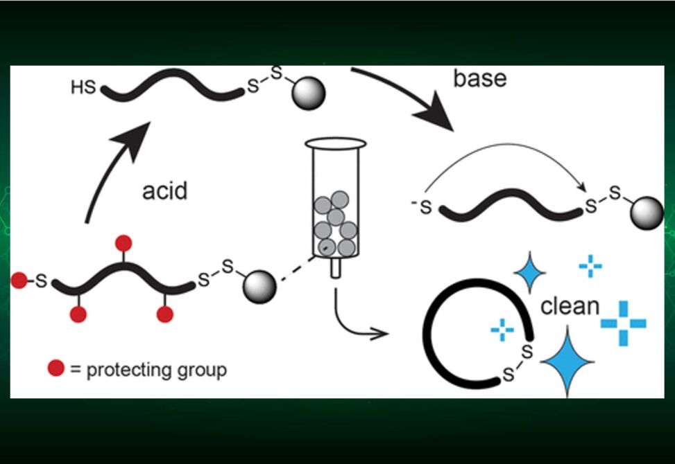 Cyclic Peptides