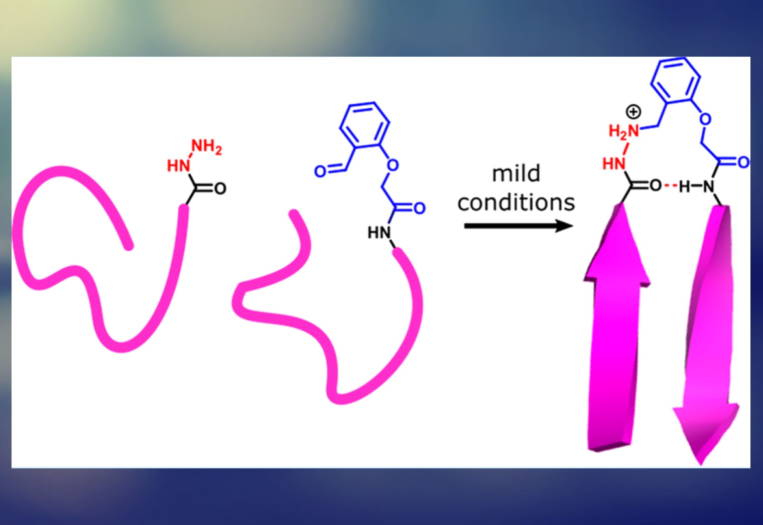 β-Turn Mimics