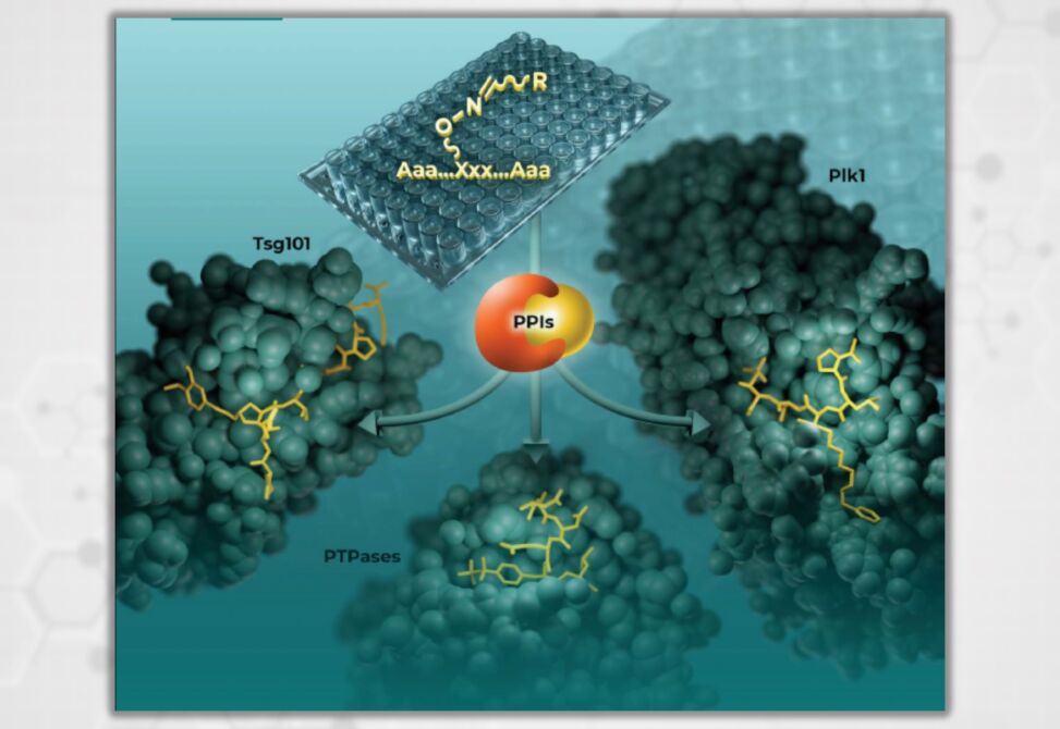 Oxime Ligation