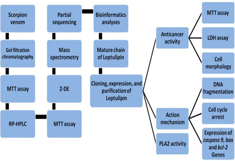 Anticancer Protein