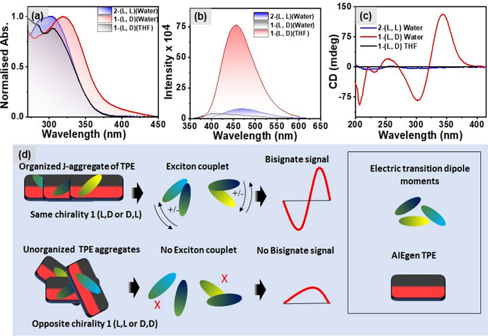 Polarized Luminescence