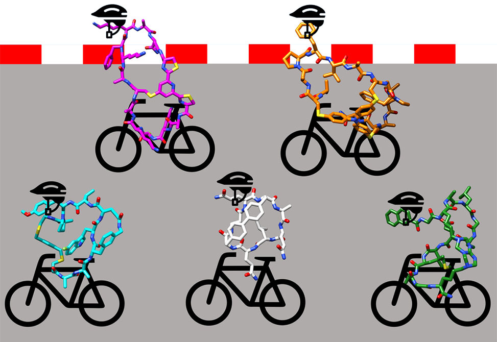Bicyclic Peptides