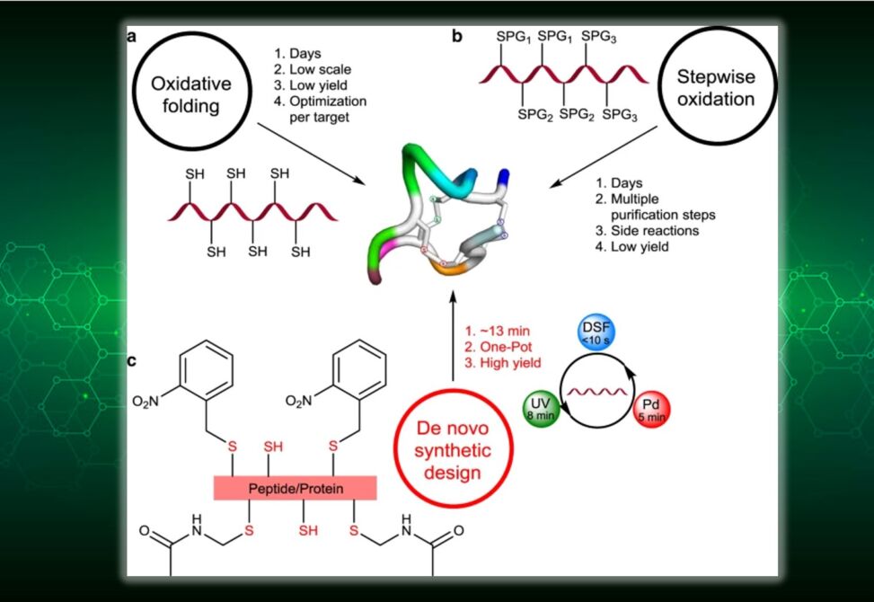Peptide Synthesis
