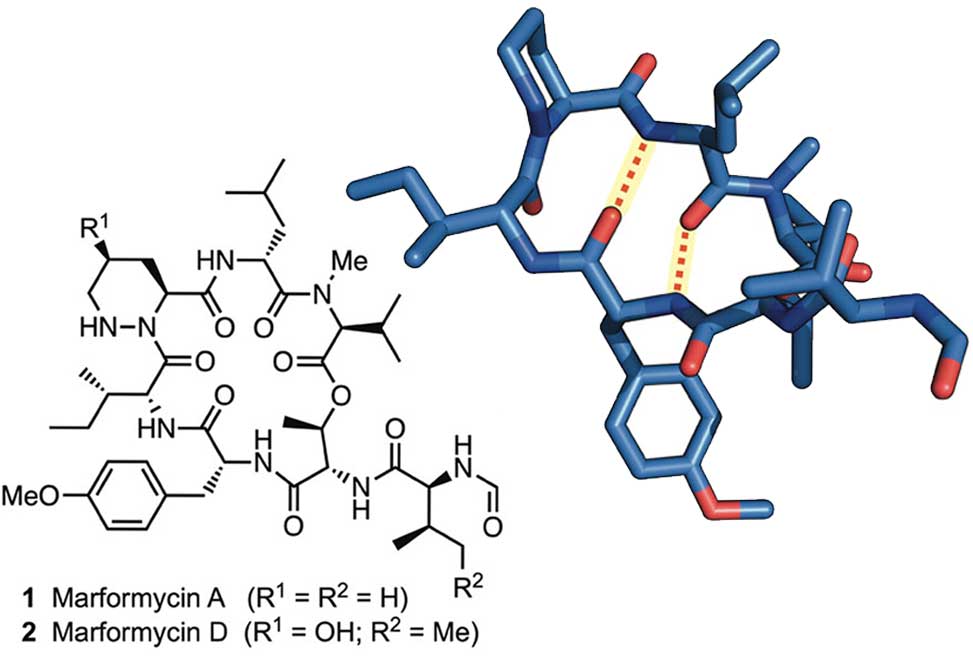 Cyclodepsipeptides