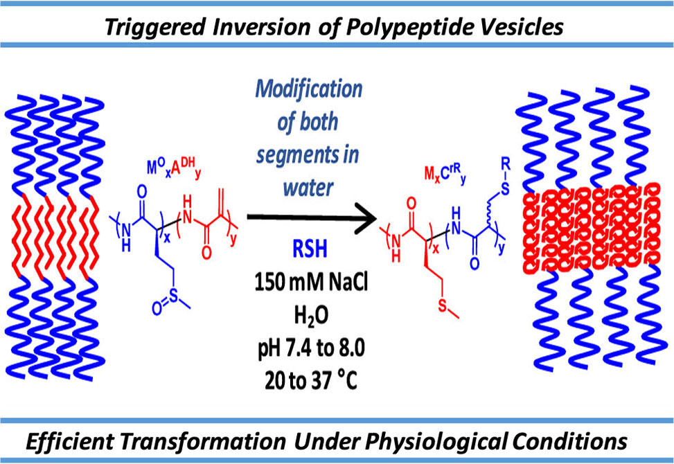 Vesicle Inversion