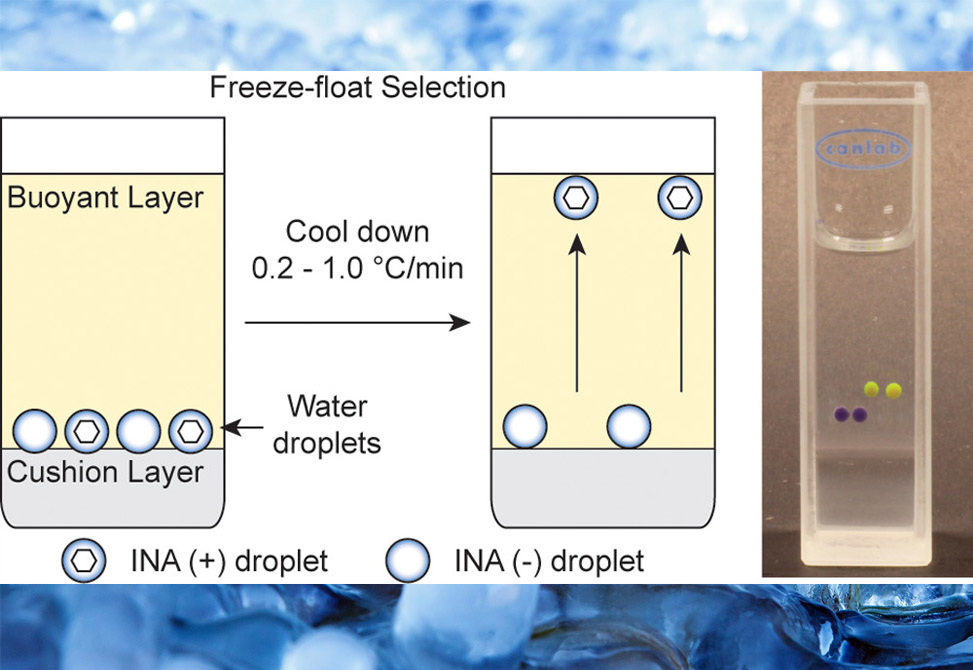 Ice Nucleators