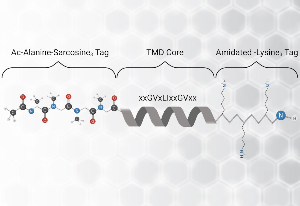 Novel, Rational Drug Design