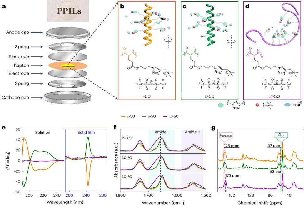Solid Polymer Electrolytes