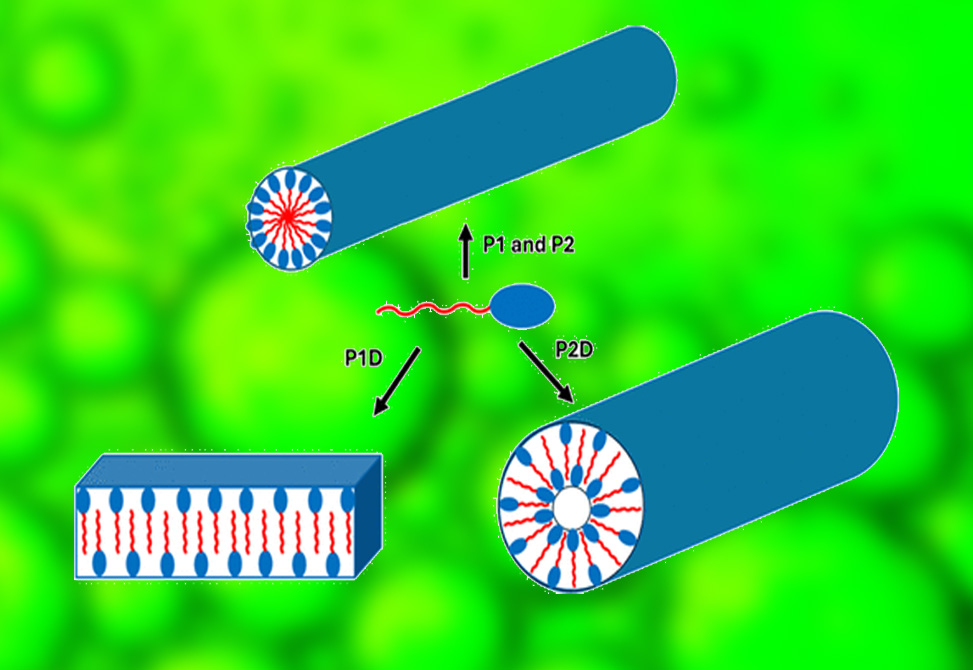 Antimicrobial Lipopeptides