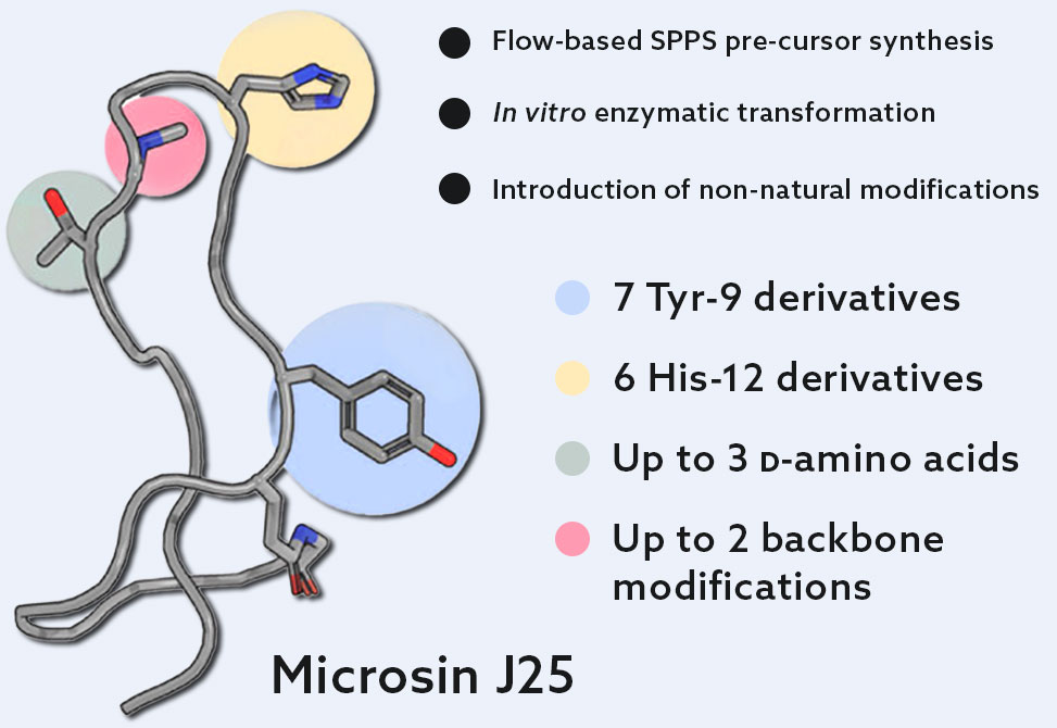 Lasso Peptides