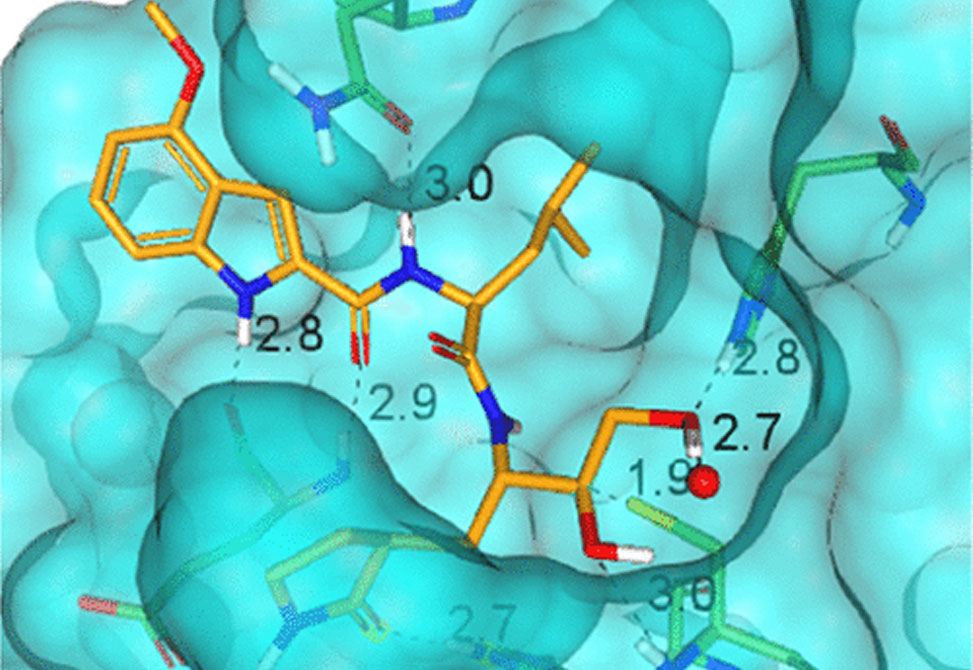 Coronavirus Inhibitors