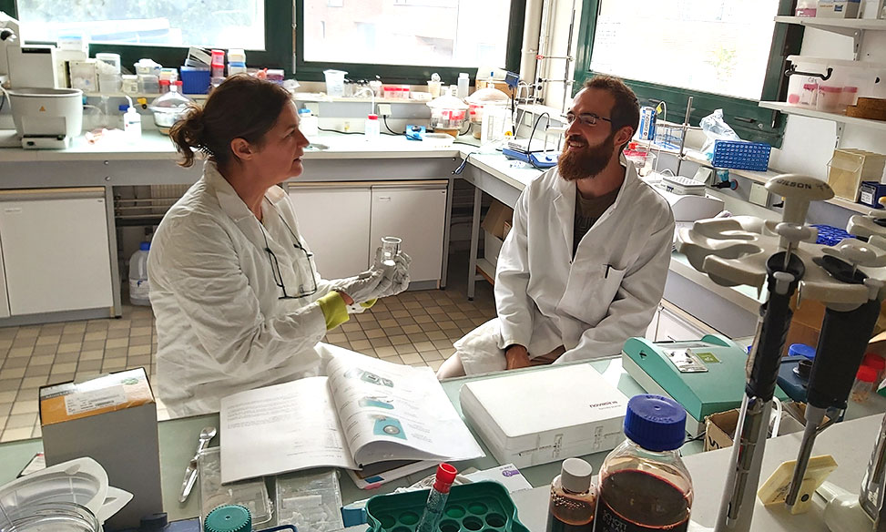 The Nicola D'Amelio Lab