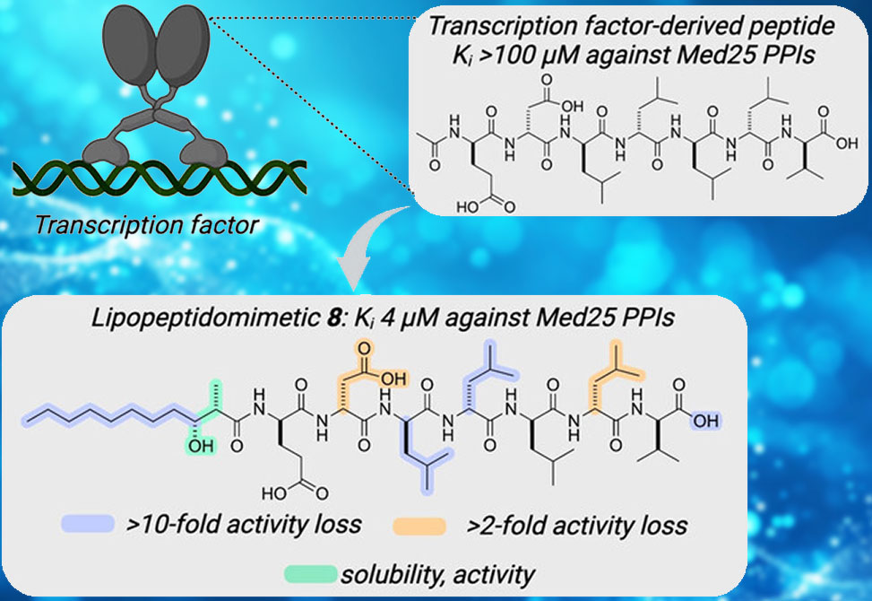 Lipopeptidomimetics Tool