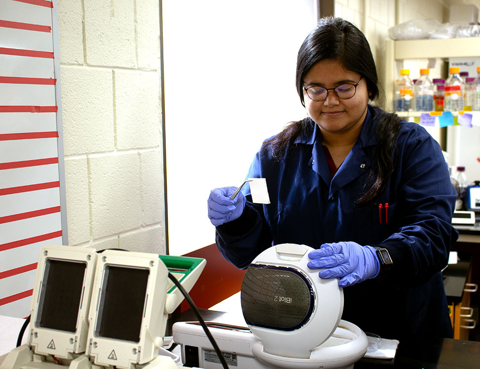 The Wenshe Liu Lab