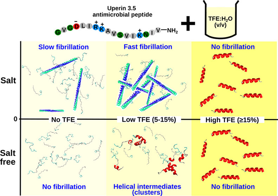 Structure Transitions
