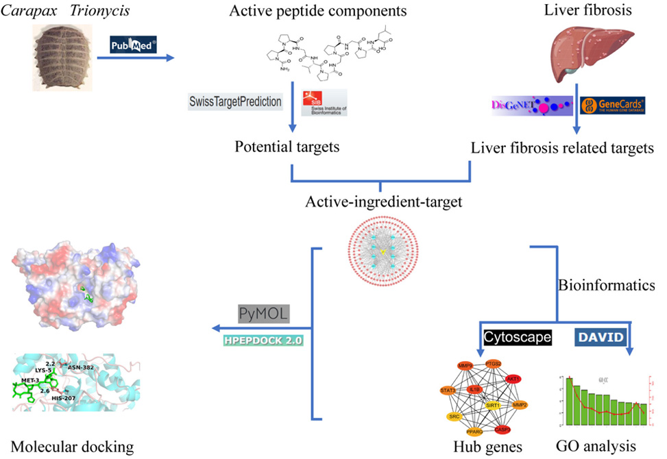 Network Pharmacology