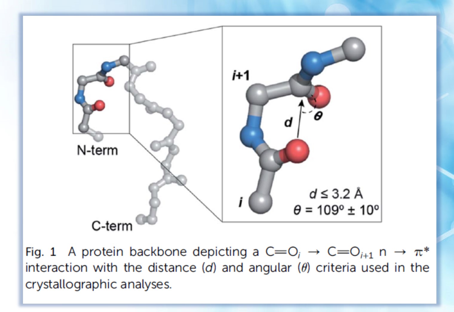 Protein Stability