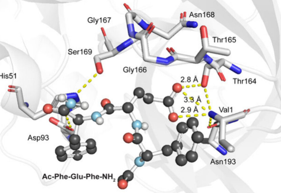 Mammalian Esterase Activity