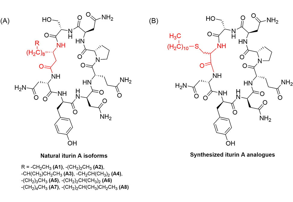Antifungal Resistance
