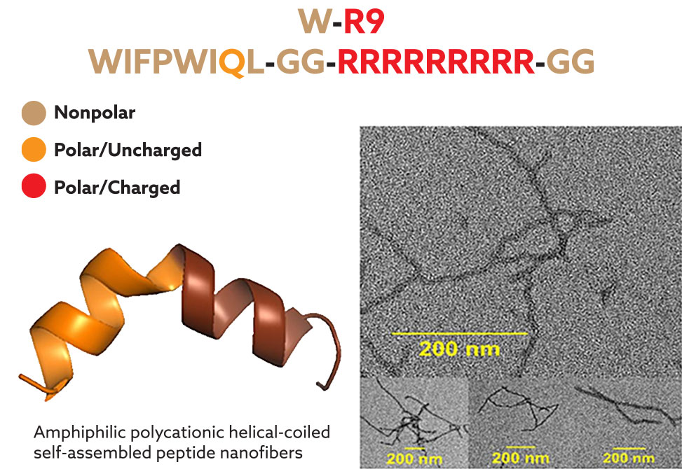 Self-Assembled Nanofibers