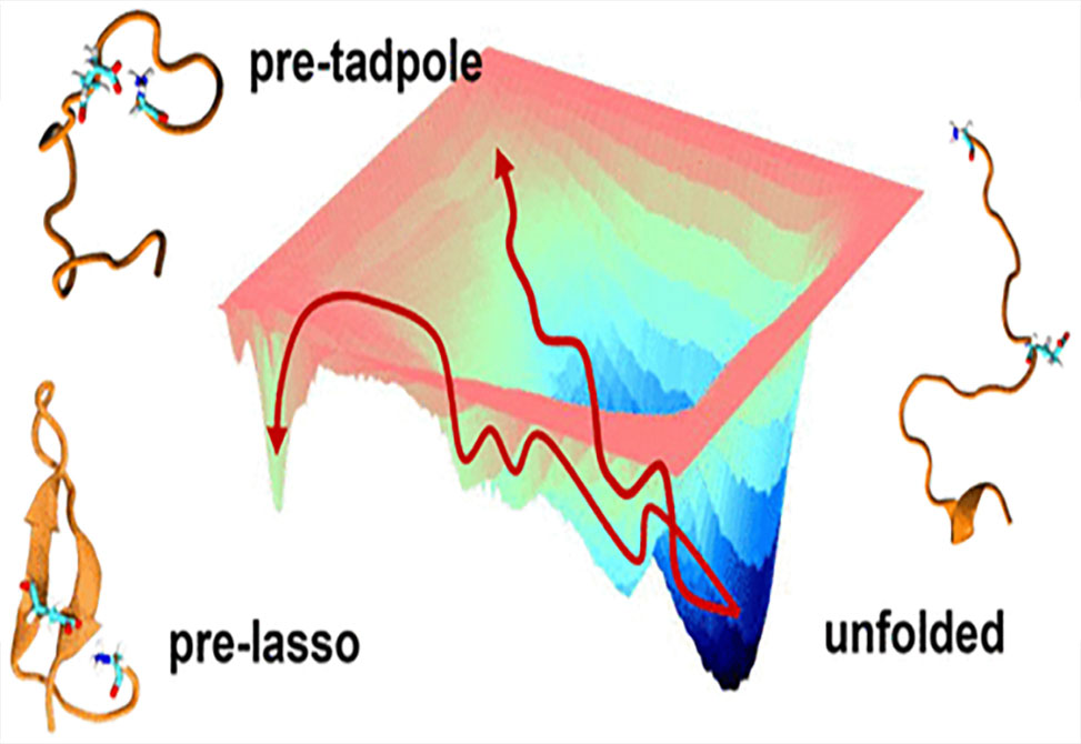 Lasso Peptides