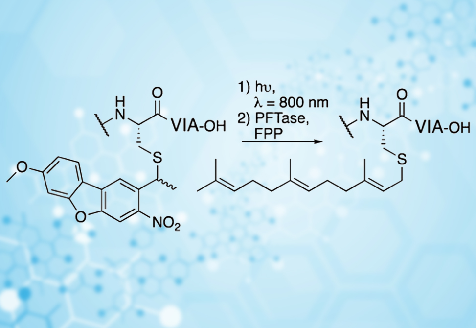 Improved Thiol Protection