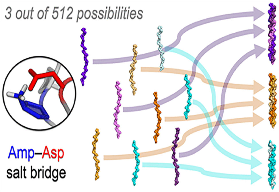Self-Sorting Collagen